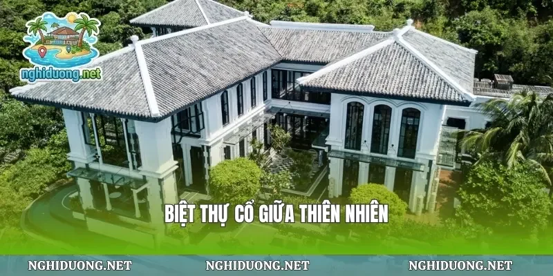 Biệt thự cổ giữa thiên nhiên