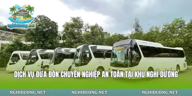 Dịch Vụ Đưa Đón Chuyên Nghiệp