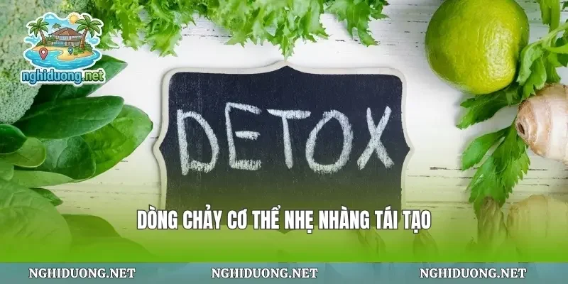 Dòng chảy cơ thể nhẹ nhàng tái tạo