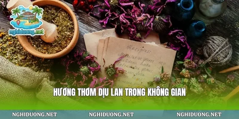 Hương thơm dịu lan trong không gian