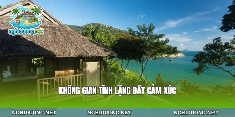 Không gian tĩnh lặng đầy cảm xúc