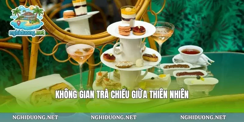 Không gian trà chiều giữa thiên nhiên