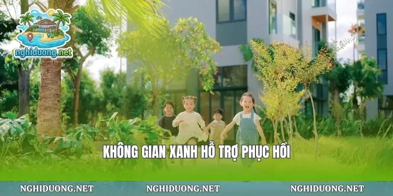 Không gian xanh hỗ trợ phục hồi