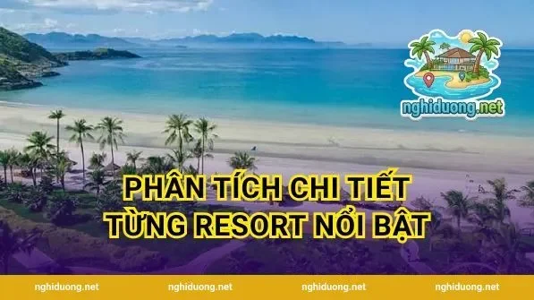 Phân tích chi tiết từng resort nổi bật